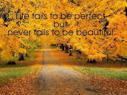 202590-life-fails-to-be-perfect-but-never-fails-to-be-beautiful
