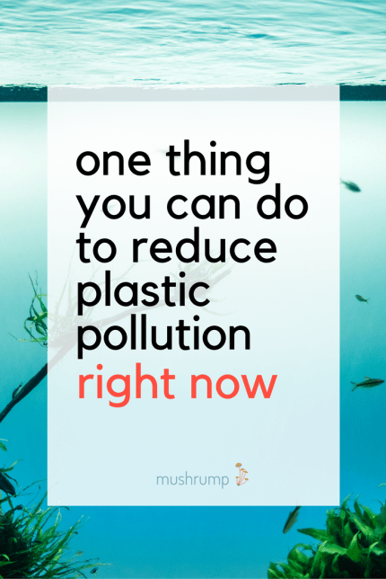 one thing you can do to reduce plastic pollution right now